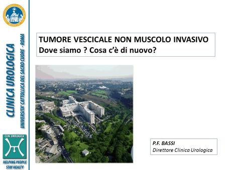 TUMORE VESCICALE NON MUSCOLO INVASIVO Dove siamo ? Cosa c’è di nuovo?