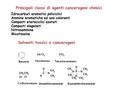 Principali classi di agenti cancerogeni chimici Idrocarburi aromatici policiclici Ammine aromatiche ed azo coloranti Composti eterociclici azotati Composti.