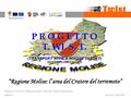 Domenico POLLICE, “Regione Molise: l’area del Cratere del terremoto” pagina 1 Pescara, 02/03/2007 P R O G E T T O T. WI. S. T. (TRANSPORT WITH A SOCIAL.