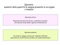 aumento della quantità di sangue presente in un organo o tessuto