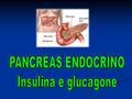 La parte endocrina del pancreas è costituita dalle isole di Langerhans che costituiscono circa il 2% dell’intero organo e risultano disperse fra la porzione.