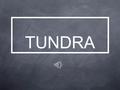 TUNDRA.