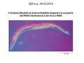 Il Sistema Modello di Caenorhabditis elegans e la scoperta dell'RNA interference e dei micro-RNA ADI a.a. 2014-2015.