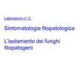 Sintomatologia fitopatologica L’isolamento dei funghi fitopatogeni