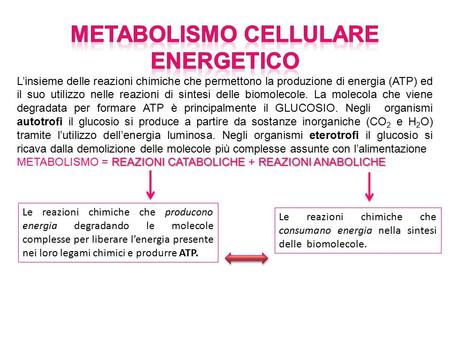 METABOLISMO CELLULARE ENERGETICO