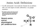 Amino Acidi: Definizione