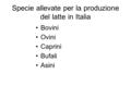 Specie allevate per la produzione del latte in Italia
