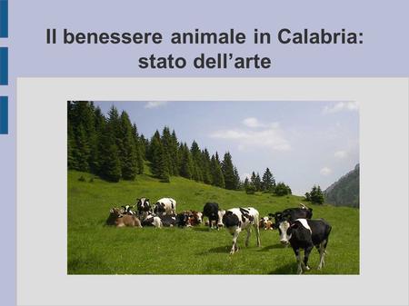 Il benessere animale in Calabria: stato dell’arte.