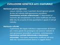 EVOLUZIONE GENETICA ed E. CULTURALE Patrimonio genetico (genoma) ciascun individuo riceve 2 pacchetti discreti (genomi aploidi) da due soli individui della.