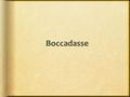 Boccadasse Da dove deriva Il nome di Boccadasse? Il nome della località di Boccadasse, deriva dalla sua strana insenatura su cui sorge che assomiglia.