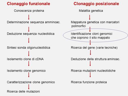 Clonaggio funzionale Clonaggio posizionale Conoscenza proteina Malattia genetica Determinazione sequenza amminoac.Mappatura genetica con marcatori polimorfici.