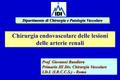 Chirurgia endovascolare delle lesioni delle arterie renali Prof. Giovanni Bandiera Primario III Div. Chirurgia Vascolare I.D.I. (I.R.C.C.S.) - Roma Dipartimento.