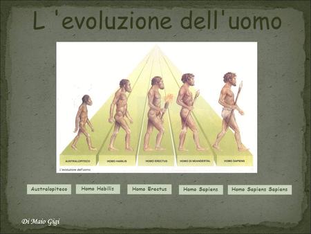 L 'evoluzione dell'uomo Di Maio Gigi Australopiteco Homo Habilis