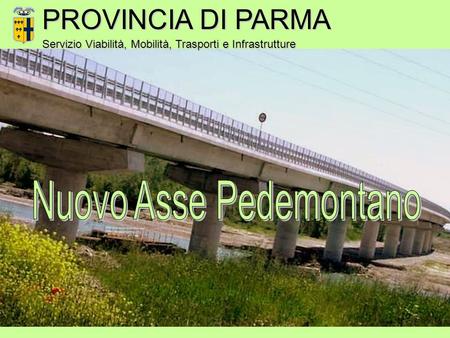 PROVINCIA DI PARMA Servizio Viabilità, Mobilità, Trasporti e Infrastrutture.