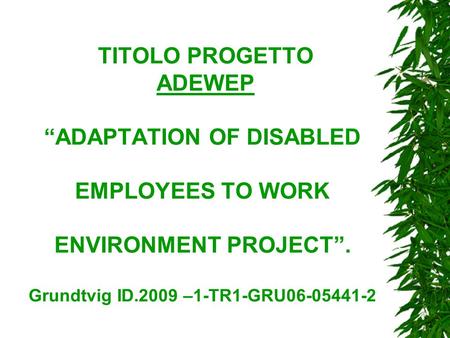 TITOLO PROGETTO ADEWEP “ADAPTATION OF DISABLED EMPLOYEES TO WORK ENVIRONMENT PROJECT”. Grundtvig ID.2009 –1-TR1-GRU06-05441-2.