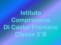 Istituto Comprensivo Di Castel Frentano Classe 3°B.
