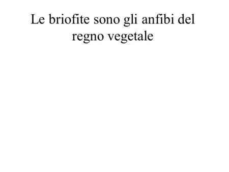 Le briofite sono gli anfibi del regno vegetale. Comprendono muschi, epatiche ed antocerote.