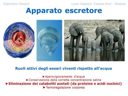 Ruoli attivi degli esseri viventi rispetto all’acqua