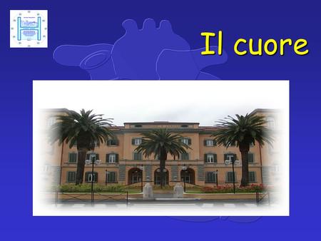 Il cuore. IL CUORE Organo cavo posto al centro della gabbia toracica, occupa lo spazio fra i polmoni (mediastino) e la base del diaframma. Il peso (300.