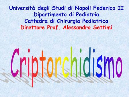 Criptorchidismo Università degli Studi di Napoli Federico II