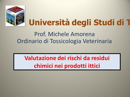 Valutazione dei rischi da residui chimici nei prodotti ittici Università degli Studi di Teramo Prof. Michele Amorena Ordinario di Tossicologia Veterinaria.