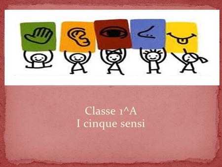 Classe 1^A I cinque sensi