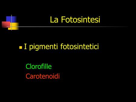 La Fotosintesi I pigmenti fotosintetici Clorofille Carotenoidi.