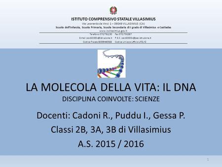 LA MOLECOLA DELLA VITA: IL DNA DISCIPLINA COINVOLTE: SCIENZE Docenti: Cadoni R., Puddu I., Gessa P. Classi 2B, 3A, 3B di Villasimius A.S. 2015 / 2016 ISTITUTO.