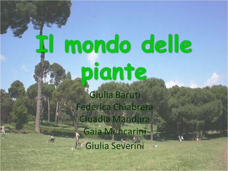 Giulia Baruti Federica Chiabrera Cluadia Mandara Gaia Mencarini Giulia Severini.