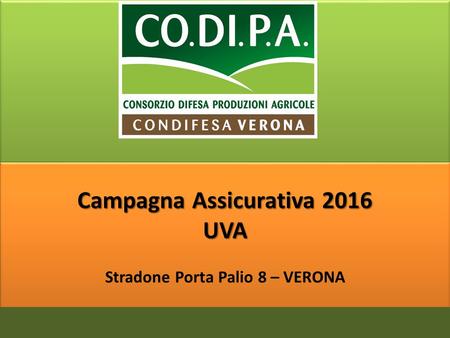 Stradone Porta Palio 8 – VERONA Campagna Assicurativa 2016 UVA.