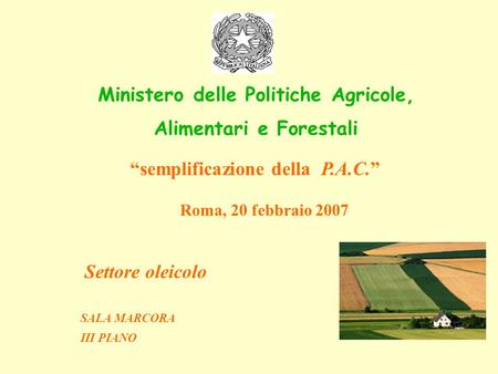 “semplificazione della P.A.C.” Roma, 20 febbraio 2007 Settore oleicolo SALA MARCORA III PIANO Ministero delle Politiche Agricole, Alimentari e Forestali.