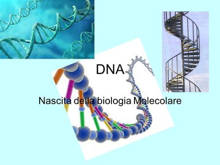DNA Nascita della biologia Molecolare. Nucleotide di RNA.