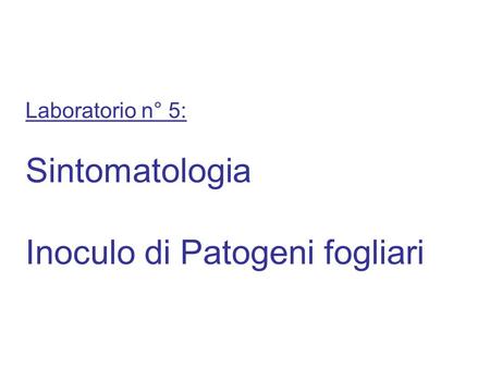 Laboratorio n° 5: Sintomatologia Inoculo di Patogeni fogliari.
