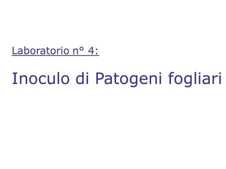 Laboratorio n° 4: Inoculo di Patogeni fogliari. Indice della lezione Sezione teorica 1.1. Importanza delle malattie fungine fogliari 1.2. Seconda fase.