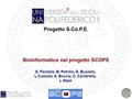 G. Paolella Napoli, 28/5/ 2008 1 Progetto S.Co.P.E. Bioinformatica nel progetto SCOPE G. Paolella, M. Petrillo, G. Busiello, L.Cozzuto, A. Boccia, C. Cantarella,