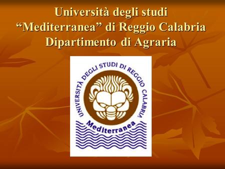 Università degli studi “Mediterranea” di Reggio Calabria Dipartimento di Agraria.