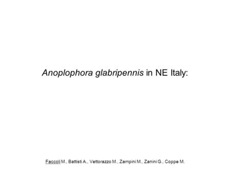 Anoplophora glabripennis in NE Italy: Faccoli M., Battisti A., Vettorazzo M., Zampini M., Zanini G., Coppe M.