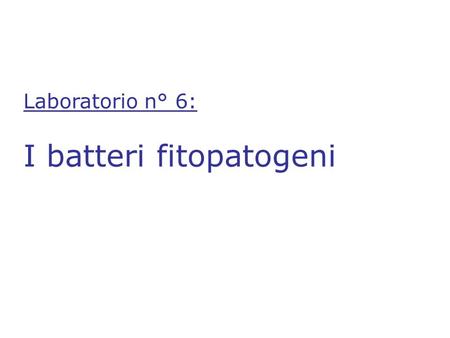Laboratorio n° 6: I batteri fitopatogeni. Indice della lezione Sezione teorica 1.1. Sintomi dei batteri fitopatogeni 1.2. Tecniche di inoculo dei batteri.