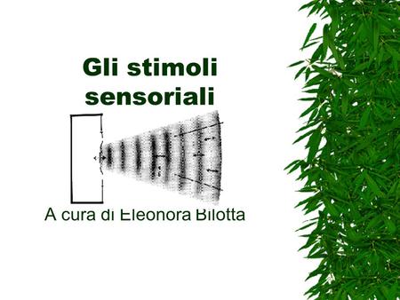 Gli stimoli sensoriali A cura di Eleonora Bilotta.