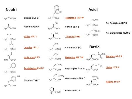 Neutri Acidi Basici Glicina GLY G Triptofano TRP W Ac. Aspartico ASP D