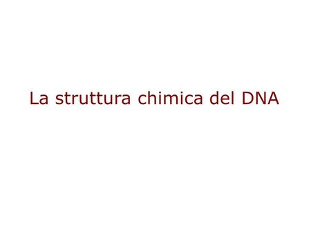 La struttura chimica del DNA