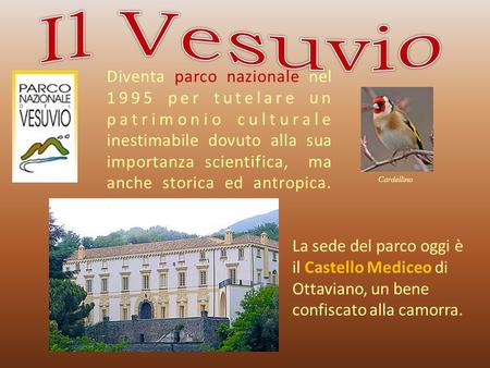 La sede del parco oggi è il Castello Mediceo di Ottaviano, un bene confiscato alla camorra. Diventa parco nazionale nel 1995 per tutelare un patrimonio.