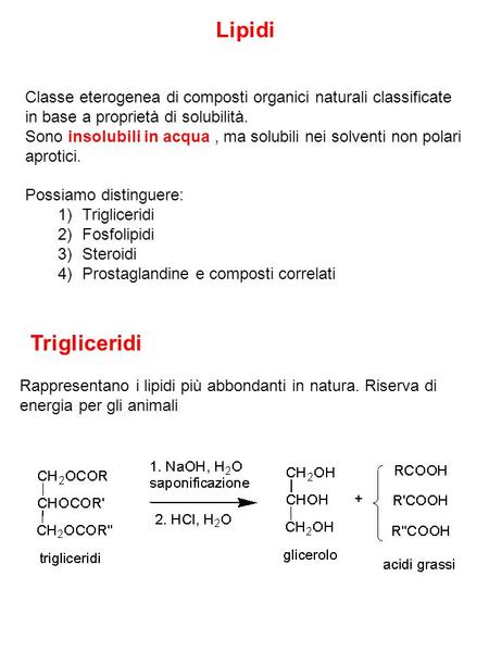 Lipidi Trigliceridi Classe eterogenea di composti organici naturali classificate in base a proprietà di solubilità. Sono insolubili in acqua, ma solubili.