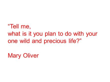 “Tell me, what is it you plan to do with your one wild and precious life?” Mary Oliver.