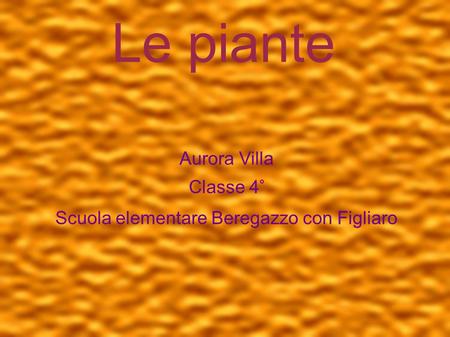 Le piante Aurora Villa Classe 4° Scuola elementare Beregazzo con Figliaro.