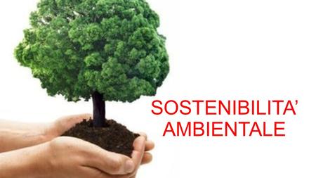 SOSTENIBILITA’ AMBIENTALE. Sostenibilità: la parola sostenibilità può intendere un progetto, un prodotto, una politica locale o una strategia nazionale.