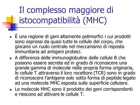 Il complesso maggiore di istocompatibilità (MHC) È una regione di geni altamente polimorfici i cui prodotti sono espressi da quasi tutte le cellule del.