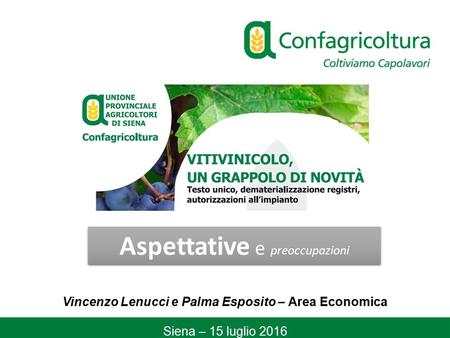 Vincenzo Lenucci e Palma Esposito – Area Economica Siena – 15 luglio 2016 Aspettative e preoccupazioni.