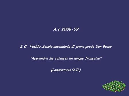 A.s 2008-09 I.C. Puddu, Scuola secondaria di primo grado Don Bosco “Apprendre les sciences en langue française” (Laboratorio CLIL)