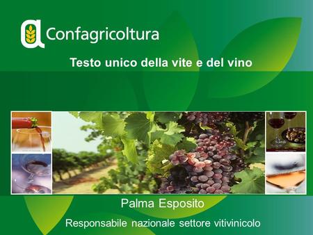 Testo unico della vite e del vino Palma Esposito Responsabile nazionale settore vitivinicolo.
